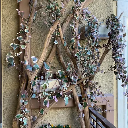 Gasthof Bello!lake 4*